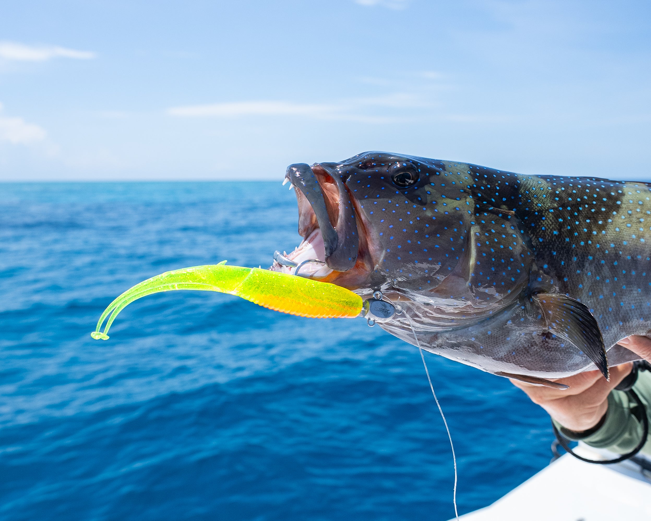 Double Down 4" Jerkshad - 5 Pack - Live Ops