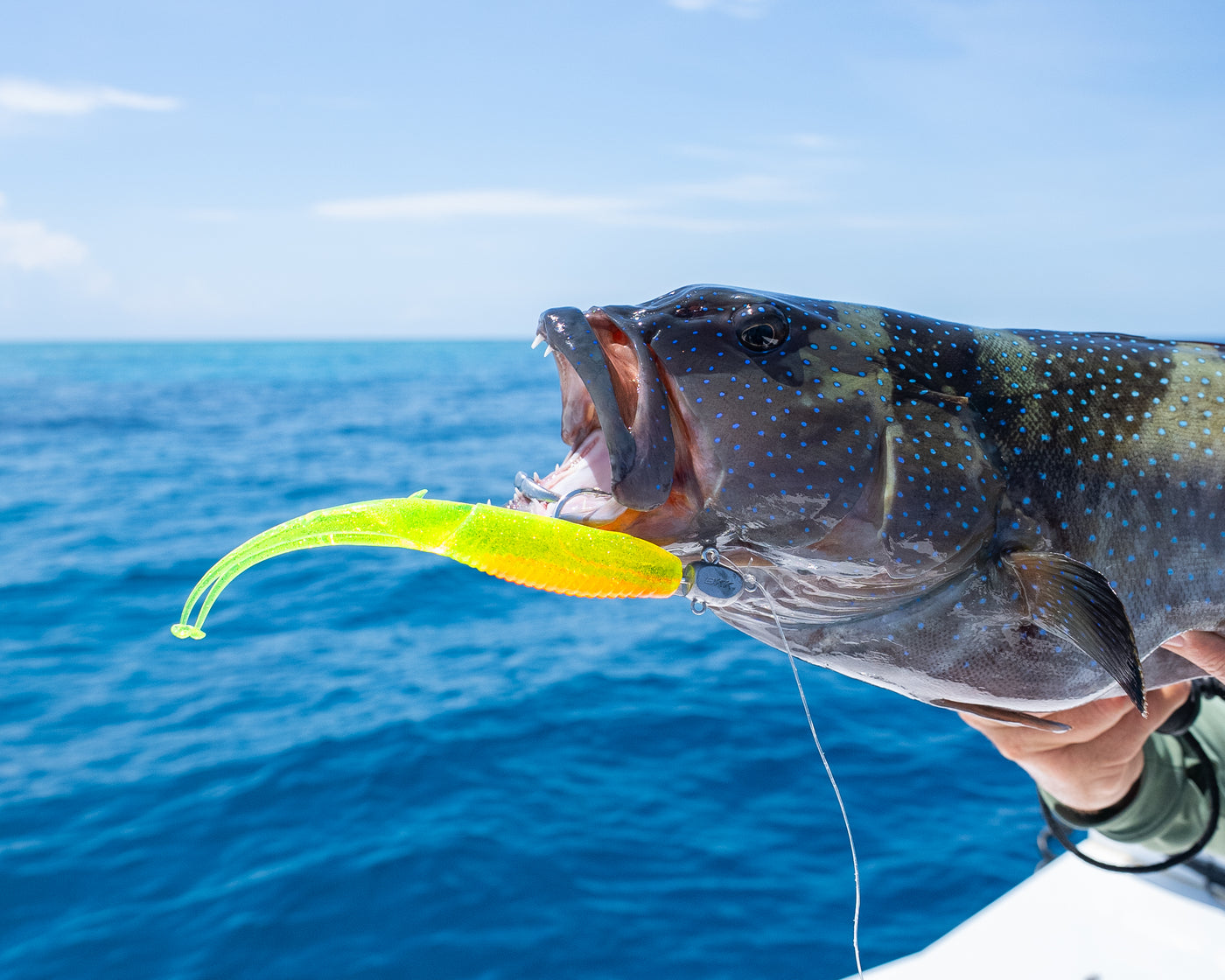 Double Down 4" Jerkshad - 5 Pack - Live Ops Soft Plastics