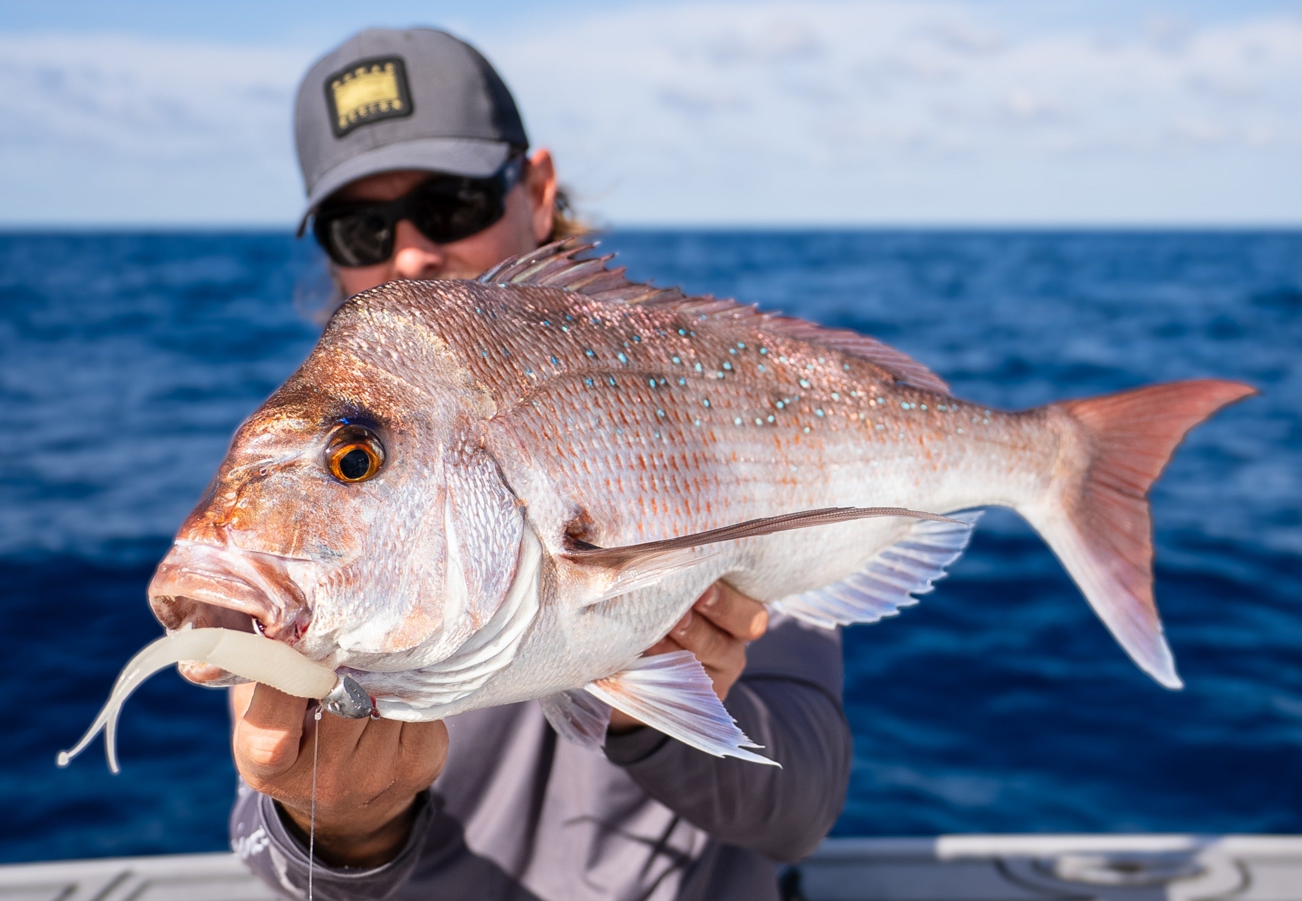 Double Down 5" Jerkshad - 4 Pack - Live Ops