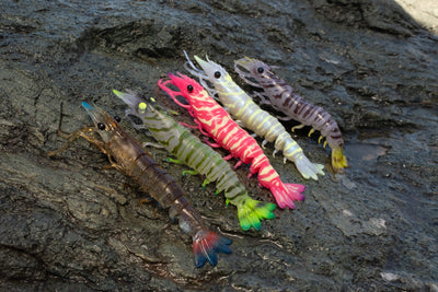 Sumo Shrimp Unrigged 5" - 2 pack - Live Ops Soft Plastics
