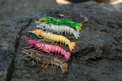 Sumo Shrimp Rigged 4" - Live Ops Soft Plastics