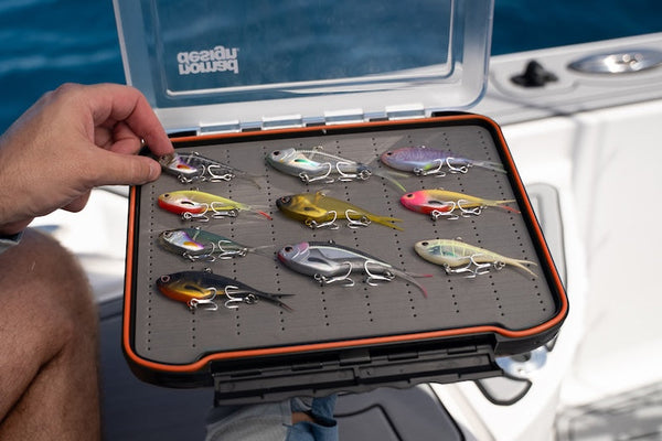 Vibe & Lure Storage Box
