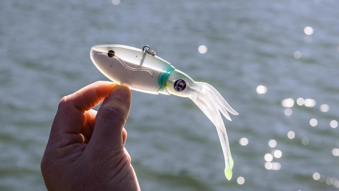 Squidtrex - The Nomad Squid Vibe – Nomad-Design-International squidtrex-the-nomad-squid-vibe-nomad-design-international