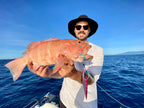 Jigging Inshore Bundle
