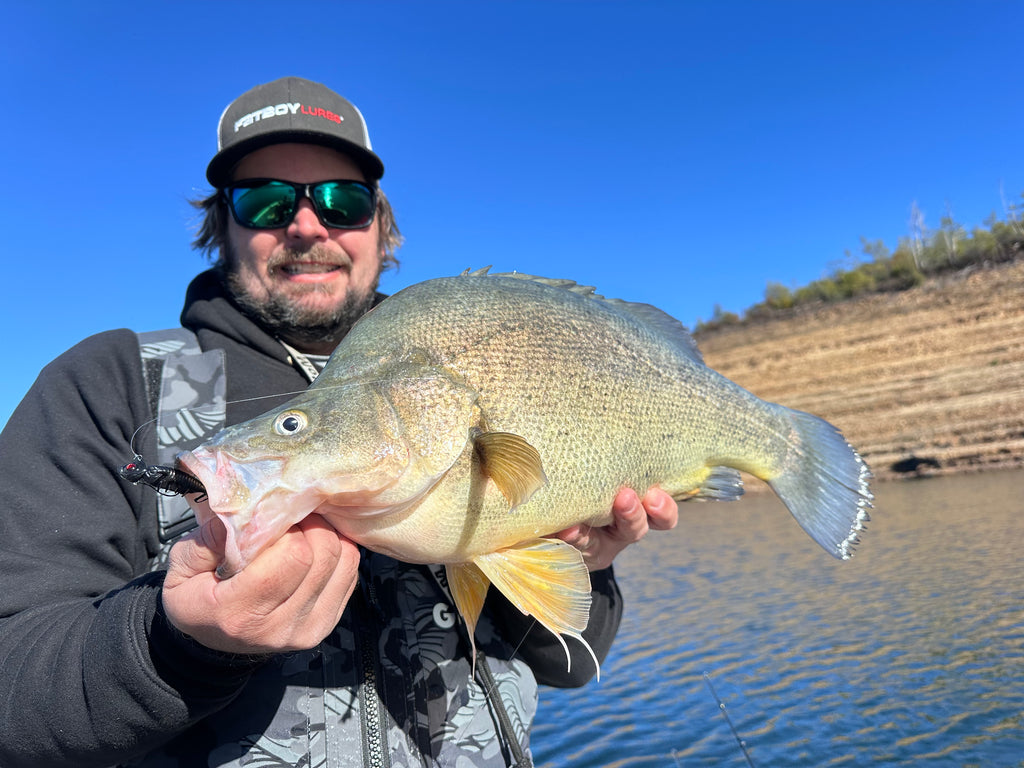Radiax 2.25" Grub - 6 Pack - Live Ops