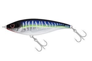 Spanish Mackerel