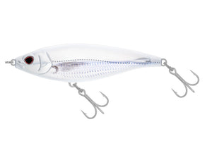 White Anchovy