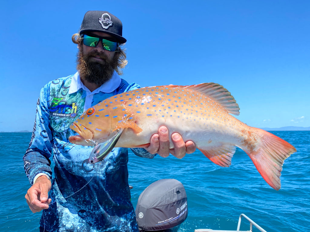 Inshore Vibe Bundle