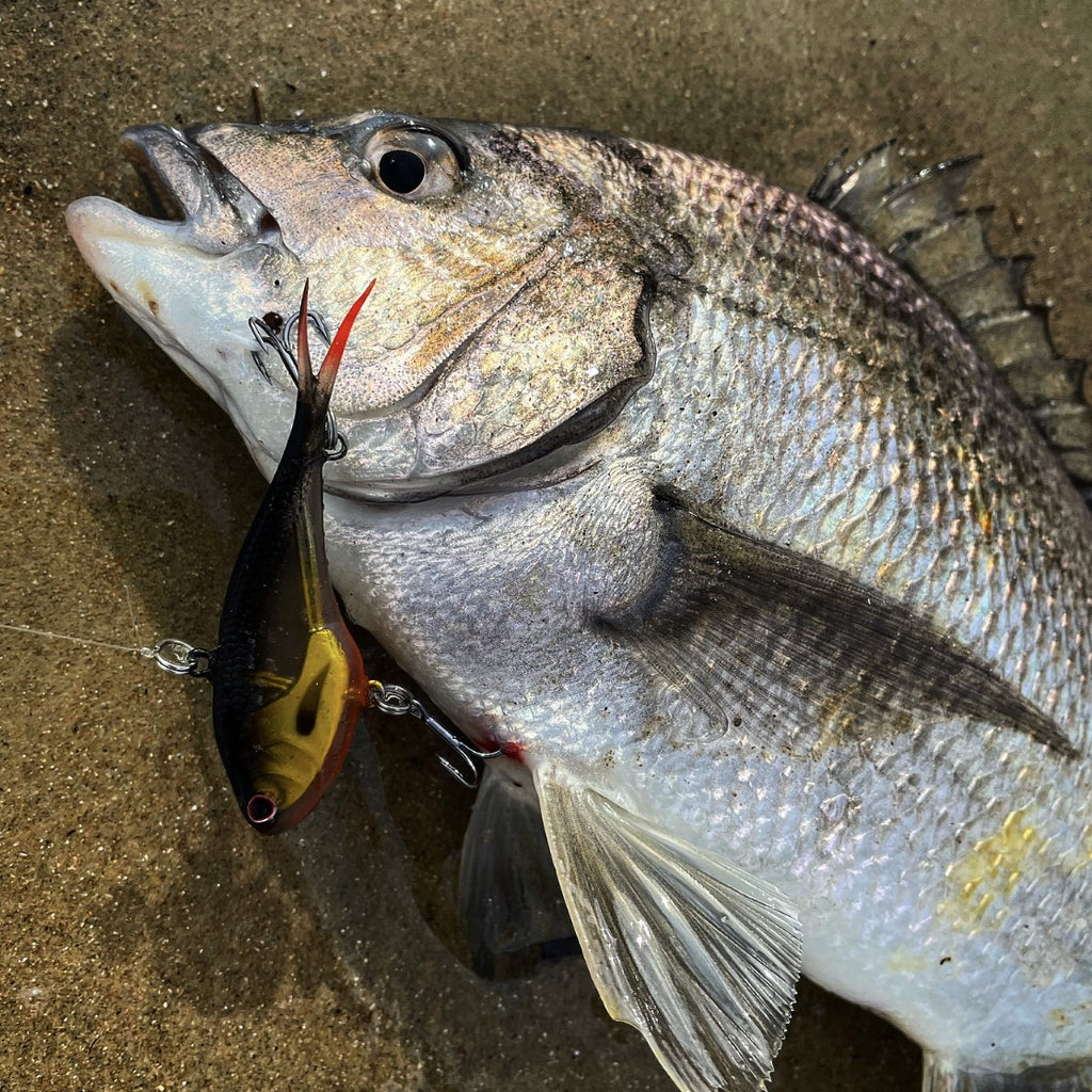 Estuary Bundle