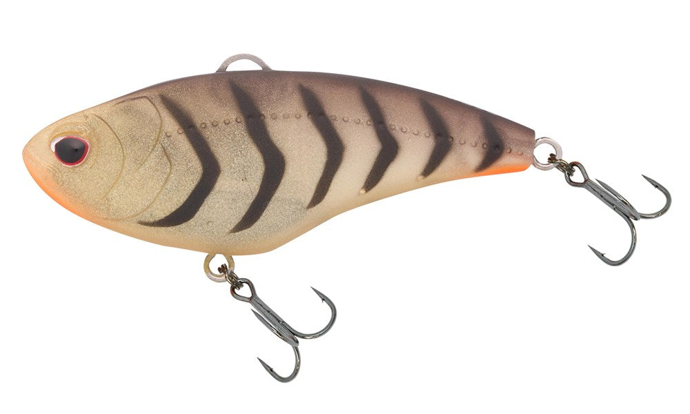Swimtrex Max 57 Rattle Fast Sink
