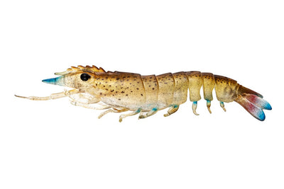 Sumo Shrimp Unrigged 5" - 2 pack - Live Ops Soft Plastics