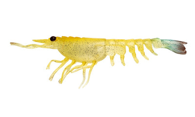 Switcher Shrimp 2.3" - 6 Pack - Live Ops Soft Plastics