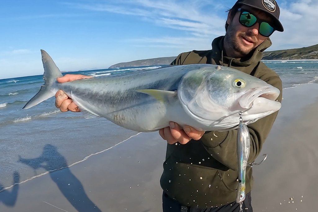 Salmon & Tailor Bundle