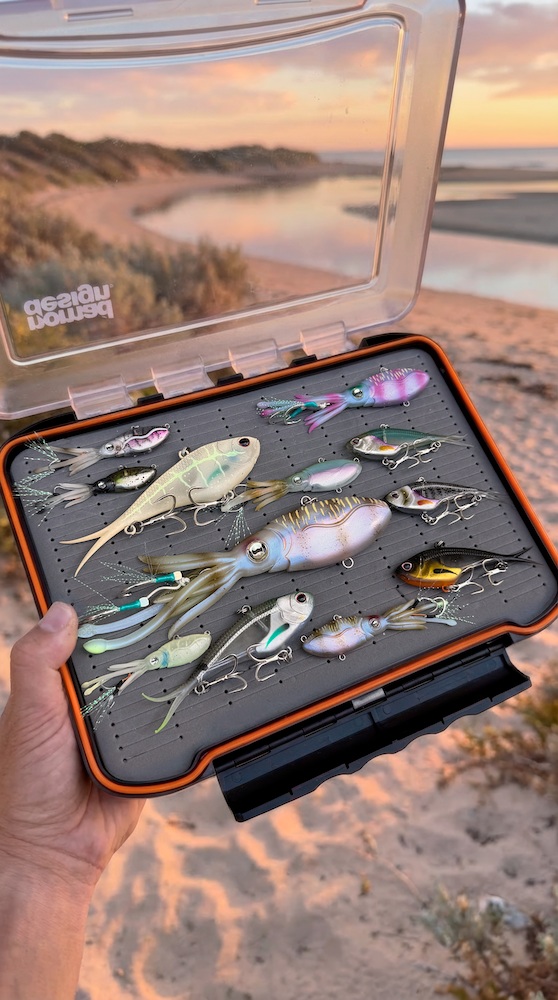 Vibe & Lure Storage Box