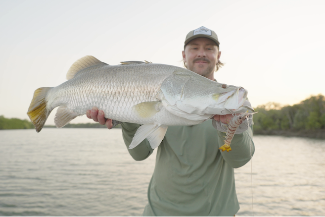 Nomad Design Live Ops Sumo Shrimp Barramundi