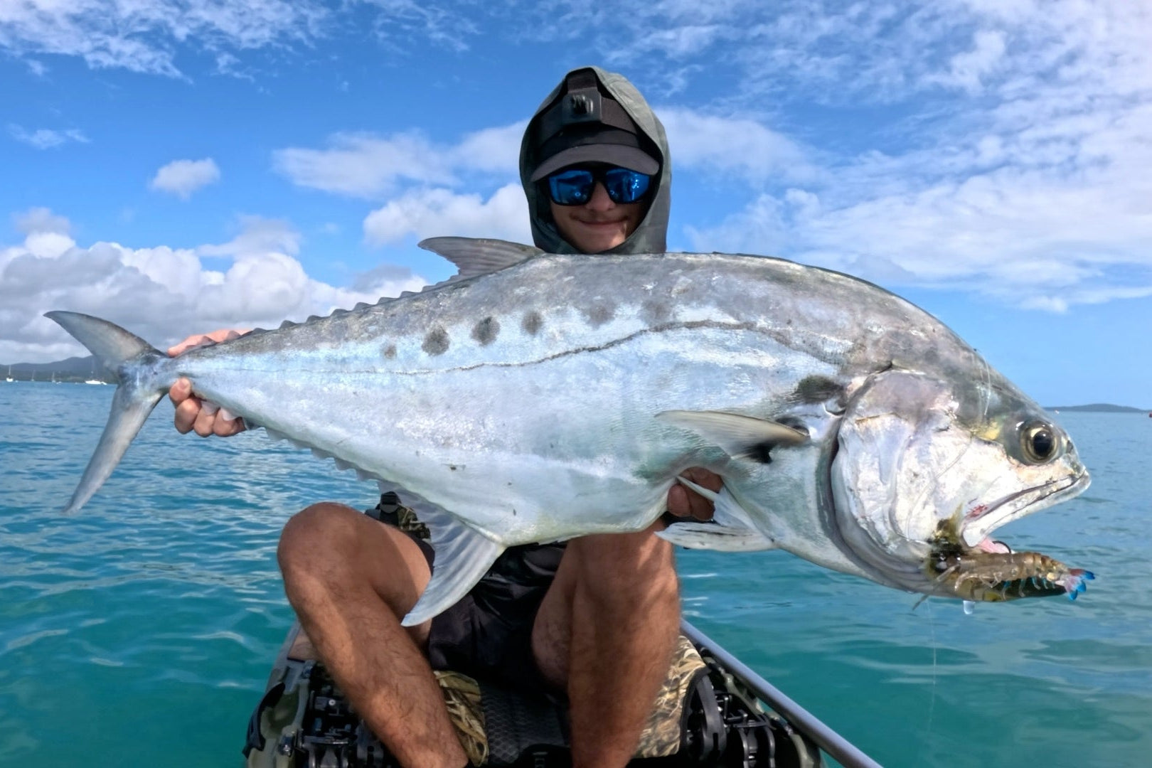 Sumo Shrimp Queenfish