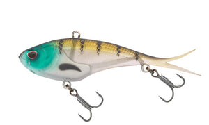 Blue Gill Ayu