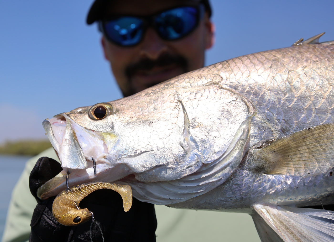 Barra Saltwater Bundle