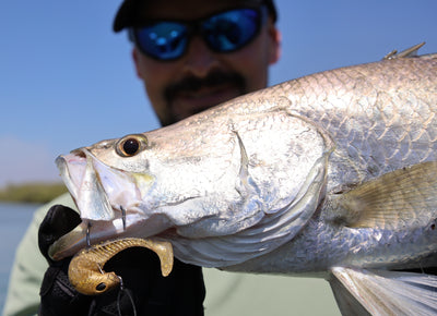 Barra Saltwater Bundle