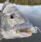 Bream Bundle