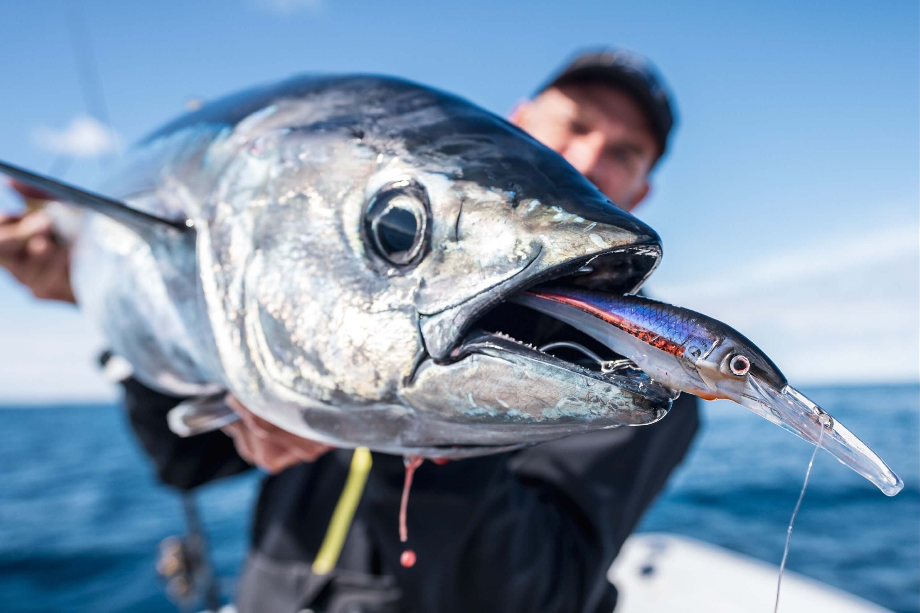 Inshore Trolling Bundle