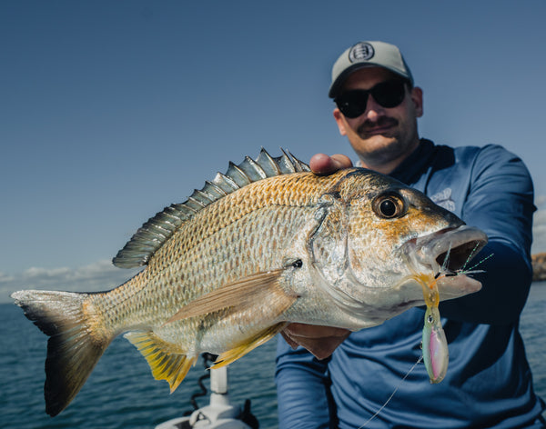 Estuary Vibe Bundle & Box