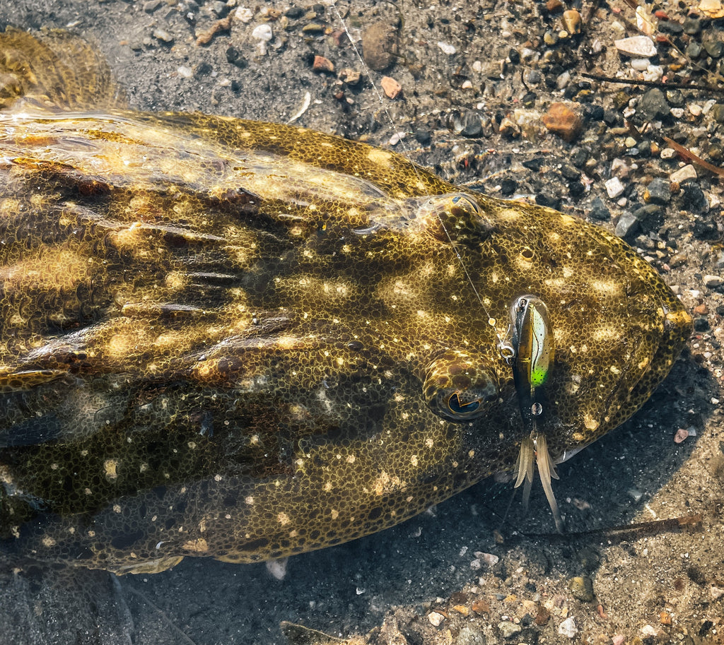 Flathead Bundle