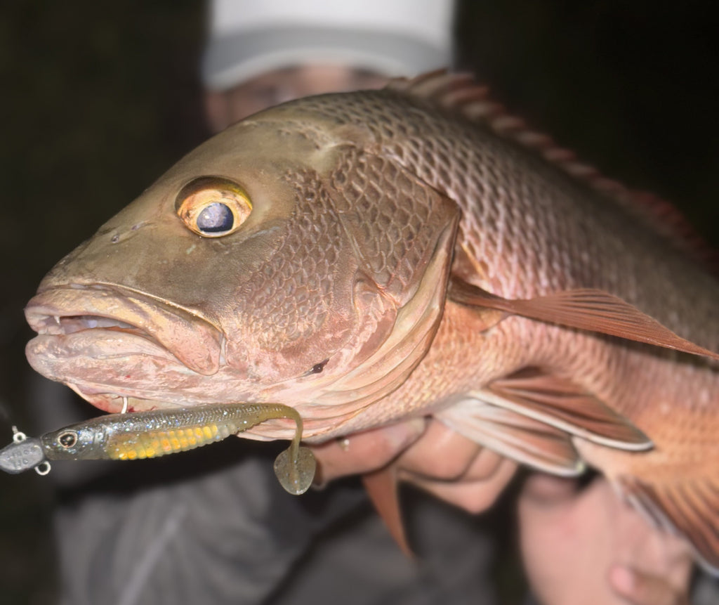 Mangrove Jack Bundle