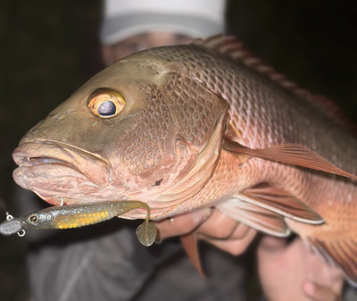 Mangrove Jack Bundle