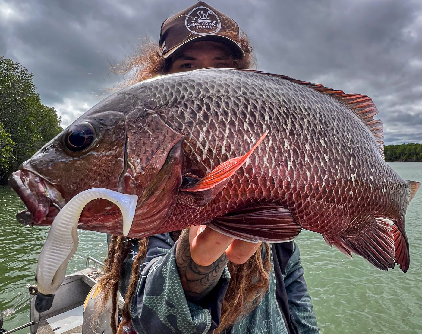 Mangrove Jack Bundle