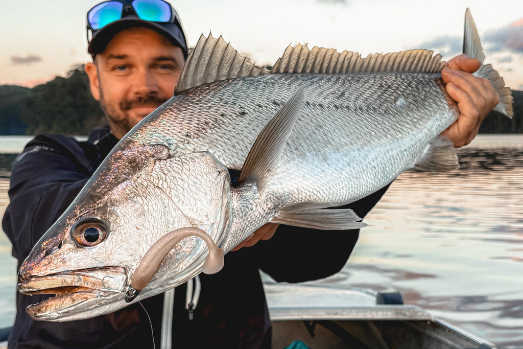 Mulloway Bundle