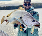 Mulloway Bundle