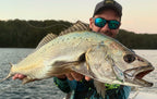 Inshore Vibe Bundle