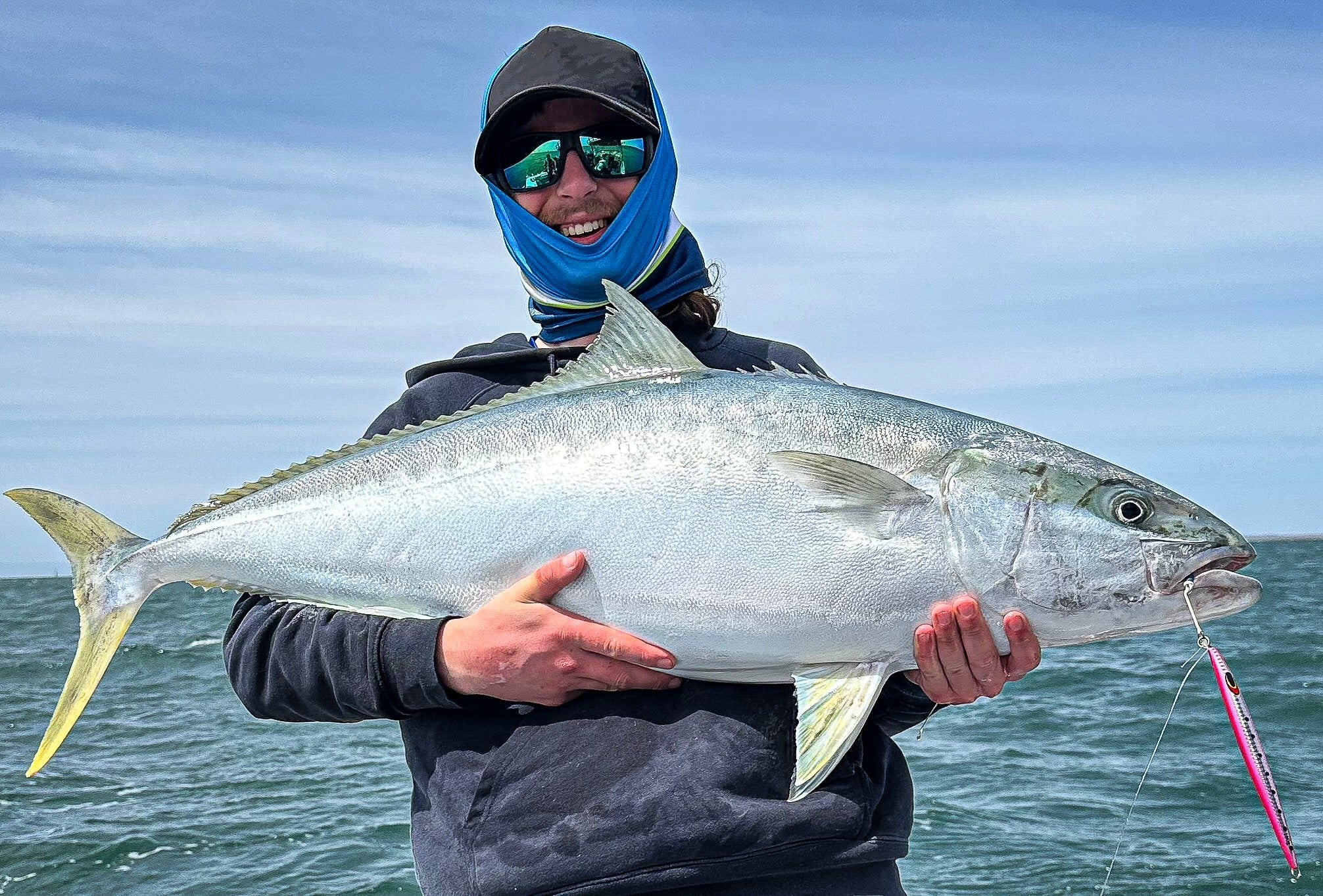 Kingfish Bundle