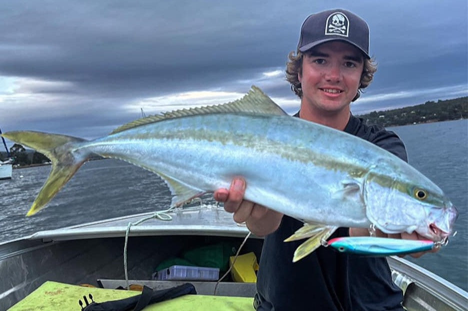 Kingfish Bundle