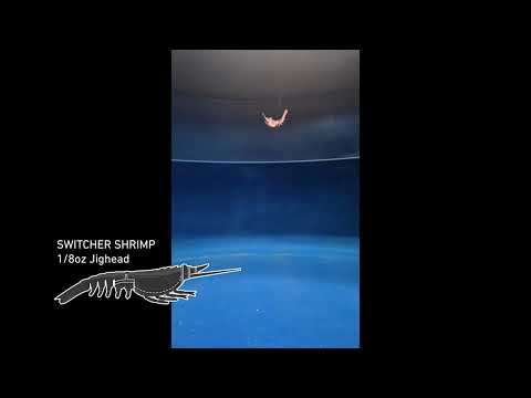 Switcher Shrimp 4.25" - 4 Pack - Live Ops Soft Plastics