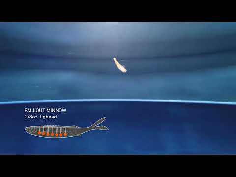 Fallout Minnow 5" Swimbait - 4 Pack - Live Ops Soft Plastics