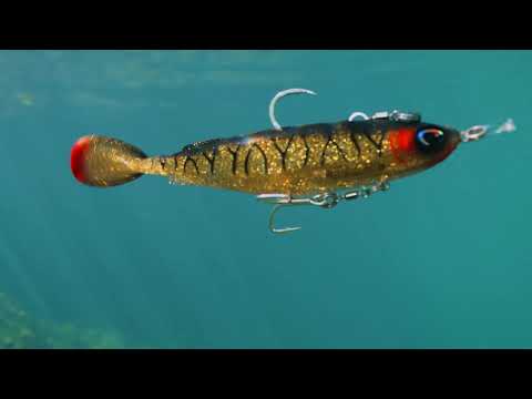 Maniax Unrigged 6" Swimbait - 2 Pack - Live Ops Soft Plastics