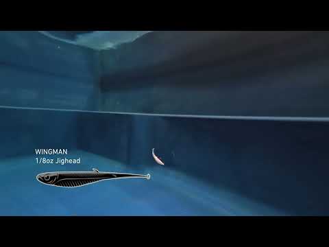 Wingman 4.5" Jerkshad - 5 Pack - Live Ops Soft Plastics