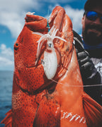 Reef & Reds Offshore Bundle