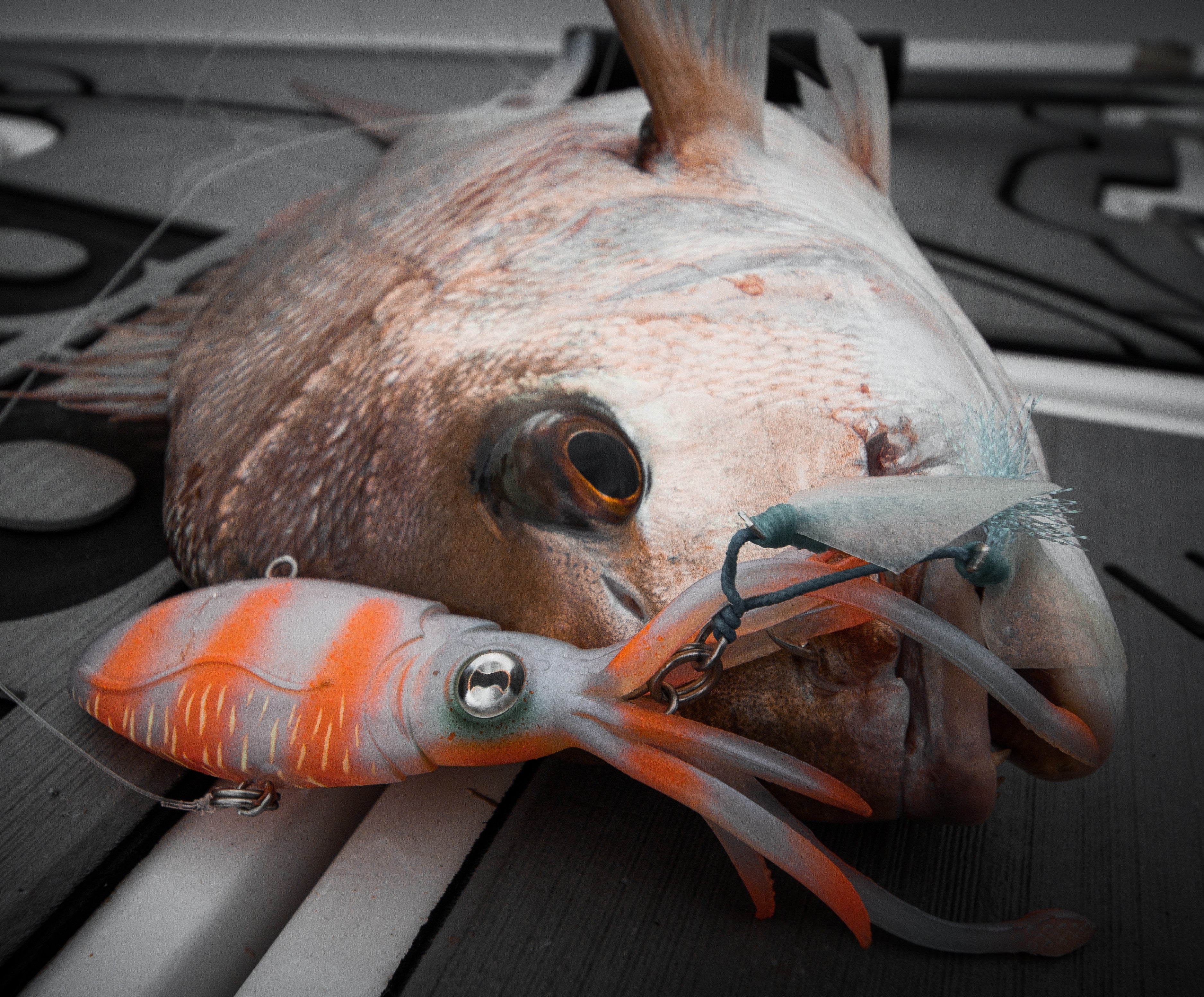 Inshore Vibe Bundle