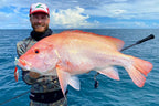 Offshore Jigging Bundle