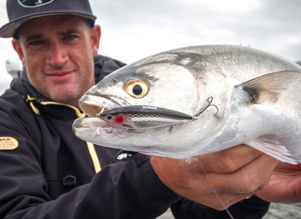 Salmon & Tailor Bundle