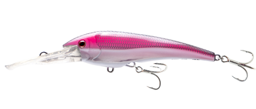 988959_8 988959_8