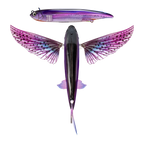 Slipstream 140 Flying Fish