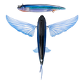 Slipstream 200 Flying Fish