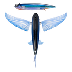 Slipstream 200 Flying Fish