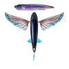 Slipstream 200 Flying Fish
