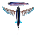 Slipstream 200 Flying Fish
