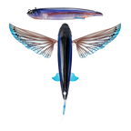 Slipstream 200 Flying Fish
